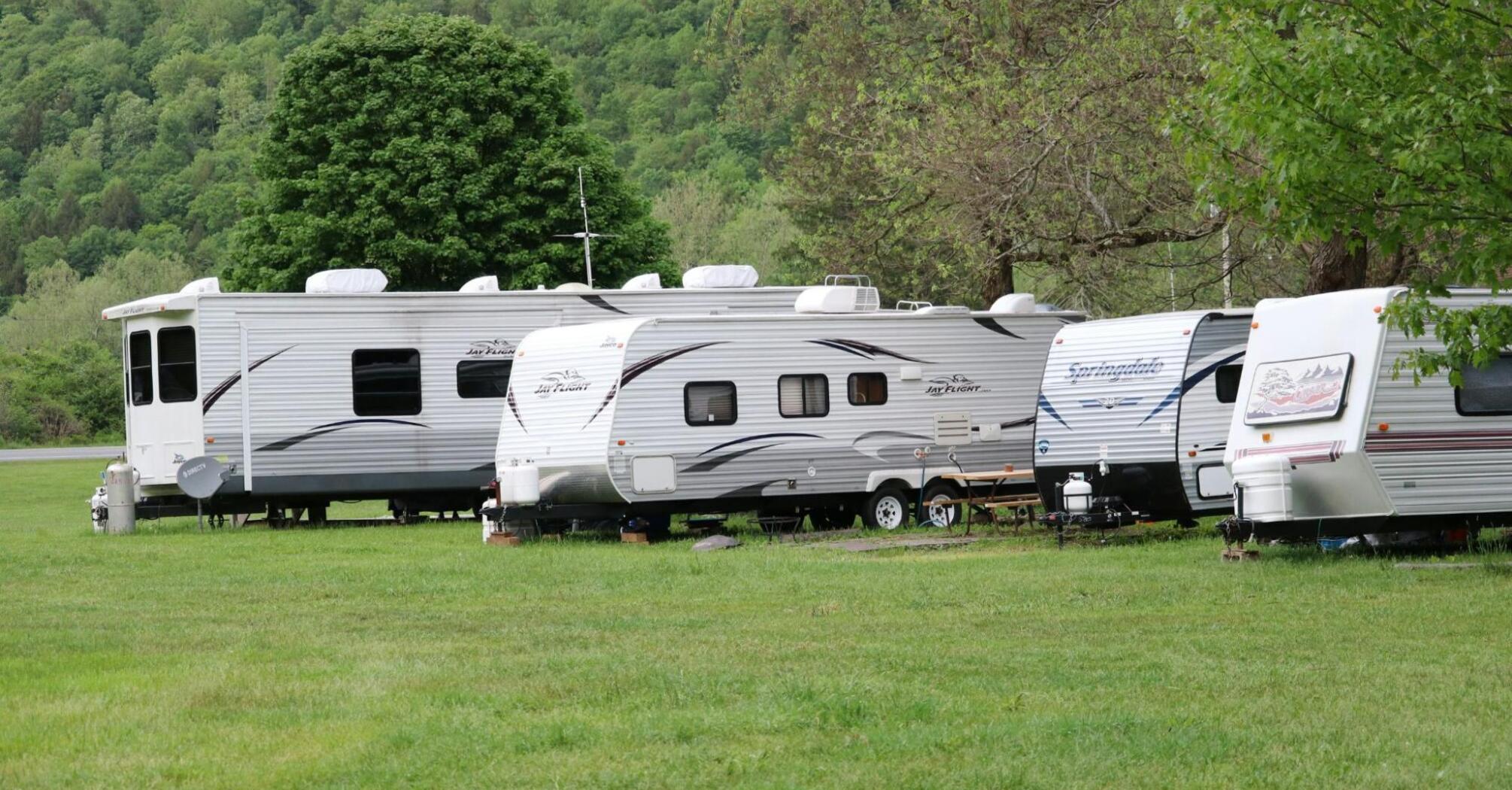 Motorhomes parked on a grassy site with a backdrop of trees