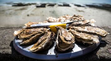 cooked oyster on round plate