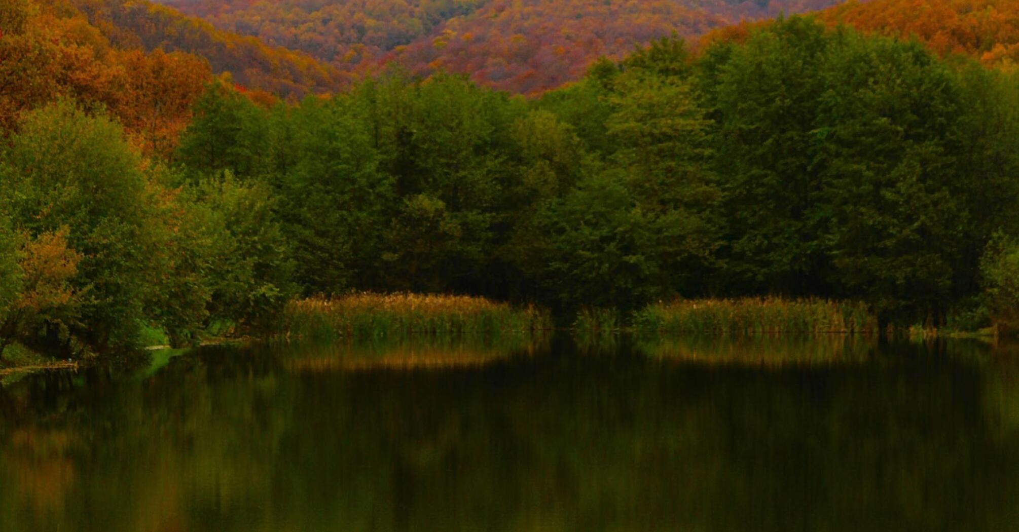 Misty autumnal scene with a forested mountain and a serene lake