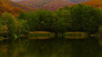 Misty autumnal scene with a forested mountain and a serene lake