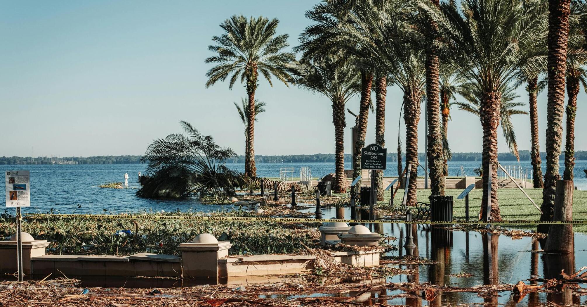 Flooded park with palm trees and storm debris near the coast after a hurricane