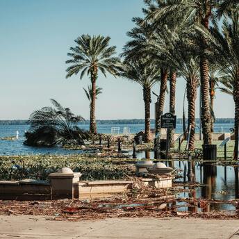 Flooded park with palm trees and storm debris near the coast after a hurricane