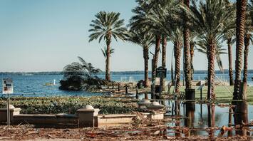 Flooded park with palm trees and storm debris near the coast after a hurricane