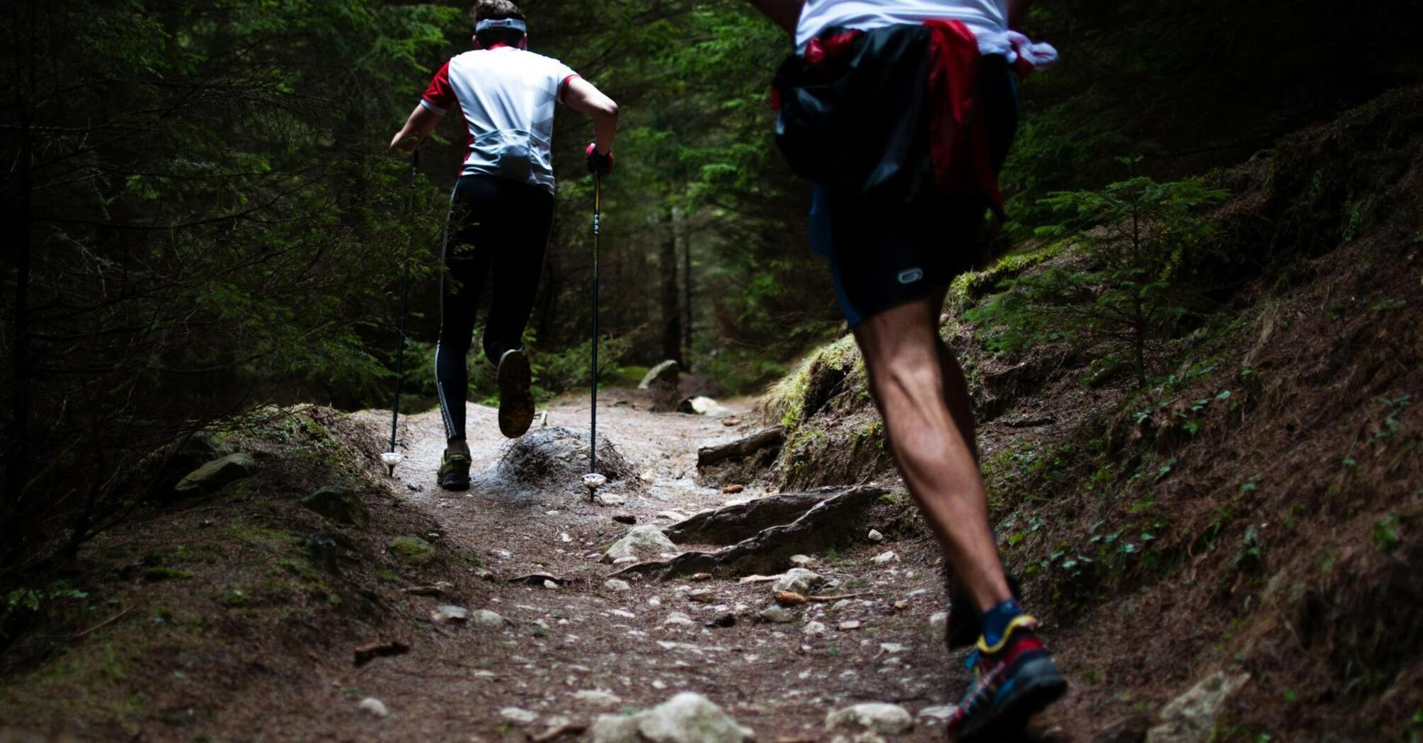 Two hikers navigate a rocky forest trail using trekking poles