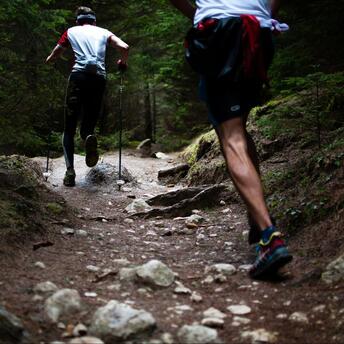 Two hikers navigate a rocky forest trail using trekking poles