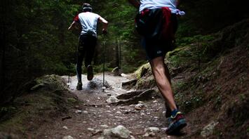 Two hikers navigate a rocky forest trail using trekking poles