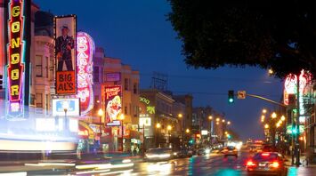 Top Nightclubs in San Francisco: Your 2024 Nightlife Guide