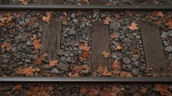 Railroad tracks covered in autumn leaves and gravel