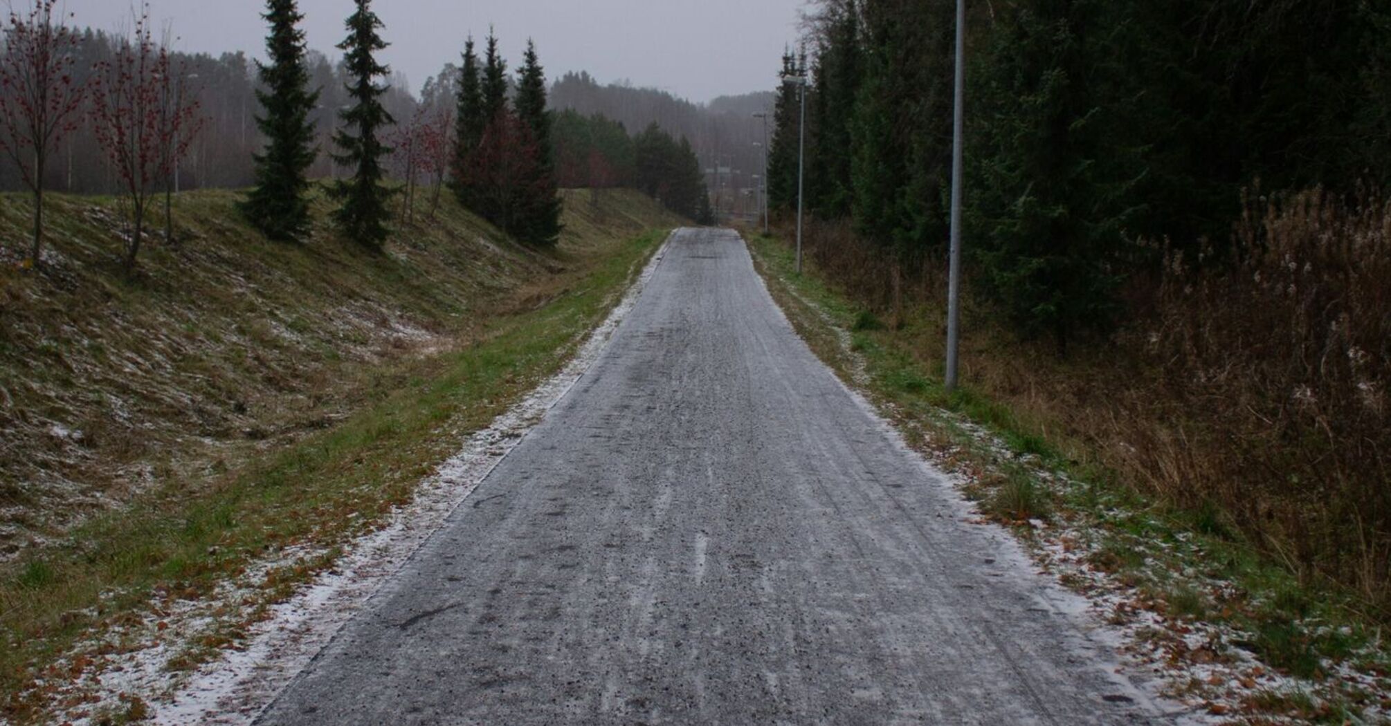 Snow-dusted road surrounded by trees under cloudy sky