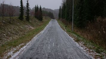 Snow-dusted road surrounded by trees under cloudy sky