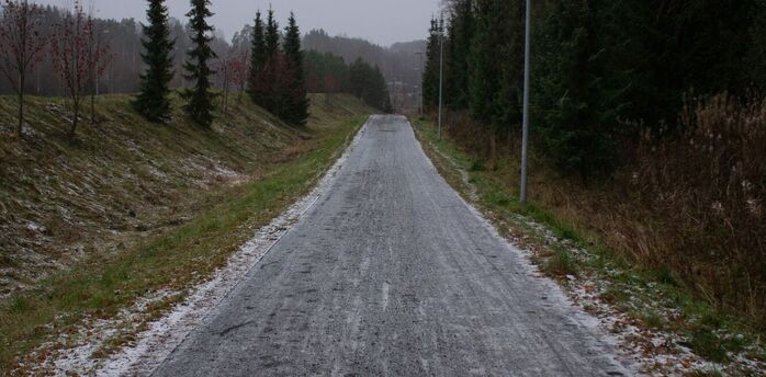 Snow-dusted road surrounded by trees under cloudy sky