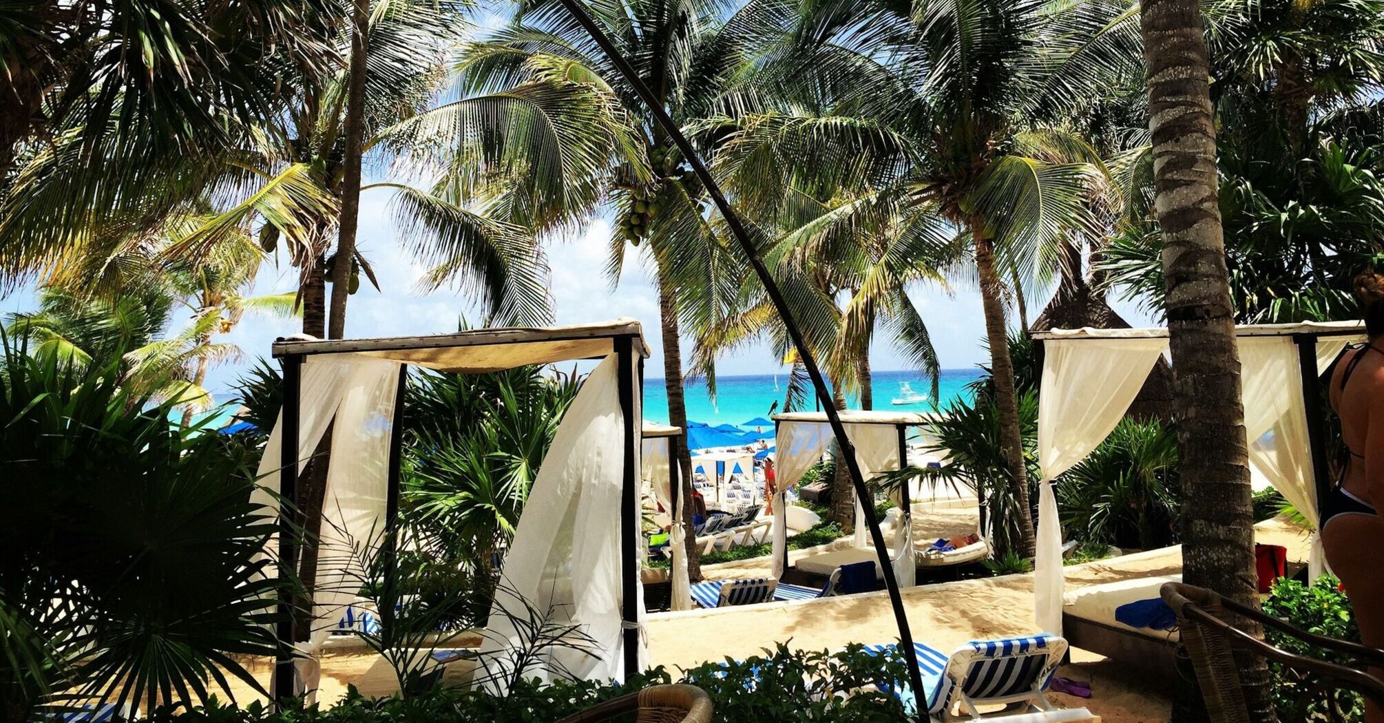 Tropical beach cabanas surrounded by palm trees and a view of the ocean