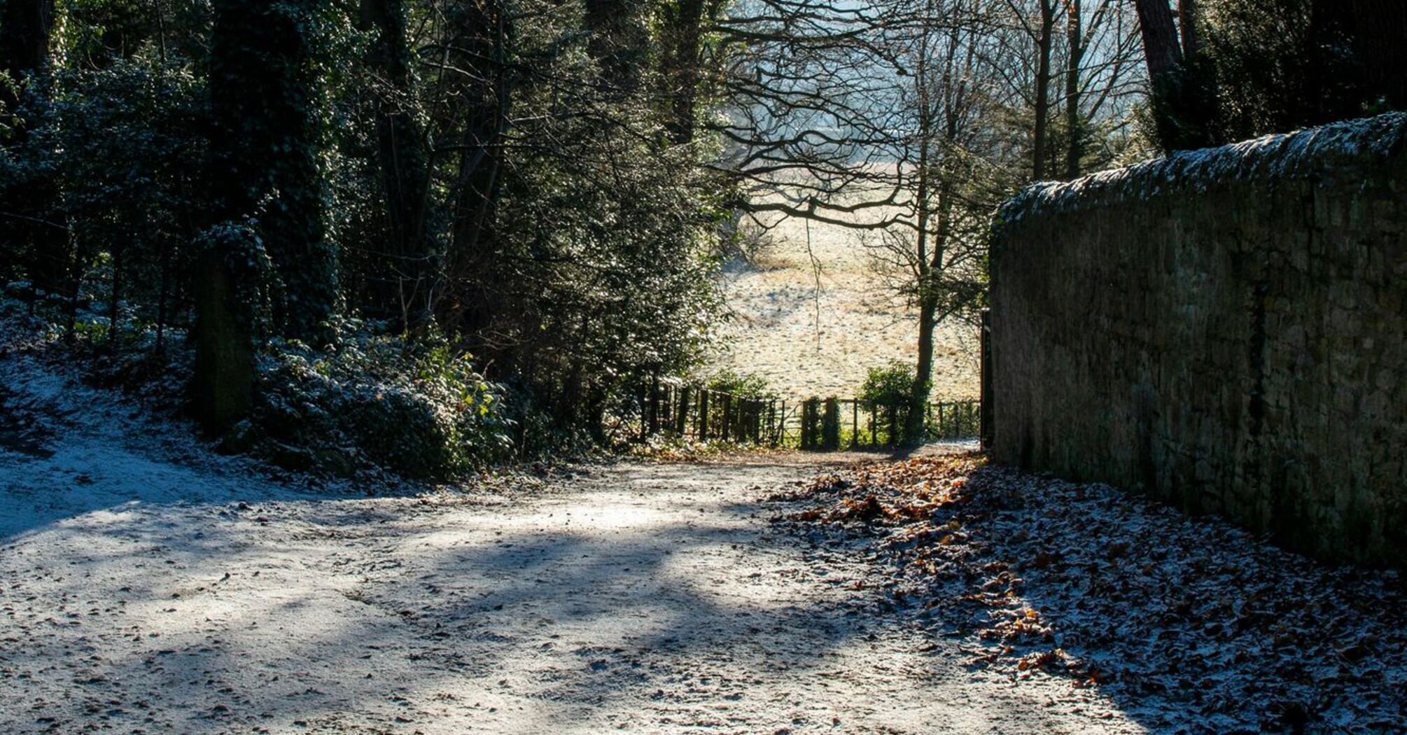 Snow-covered rural road through a winter forest with sunlight filtering through bare trees