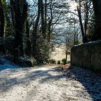 Snow-covered rural road through a winter forest with sunlight filtering through bare trees