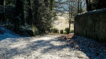 Snow-covered rural road through a winter forest with sunlight filtering through bare trees