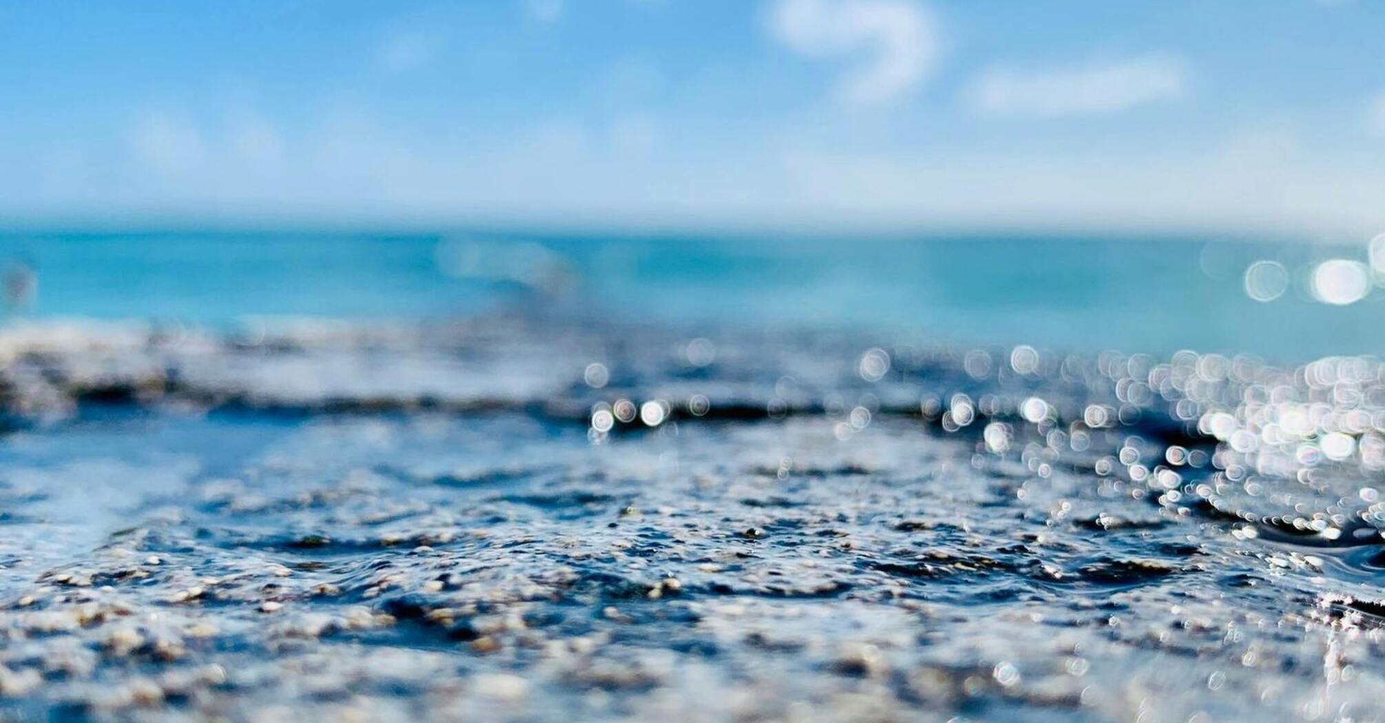 A serene view of a shallow ocean with a blurred foreground and clear blue sky