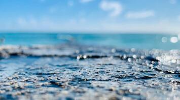 A serene view of a shallow ocean with a blurred foreground and clear blue sky