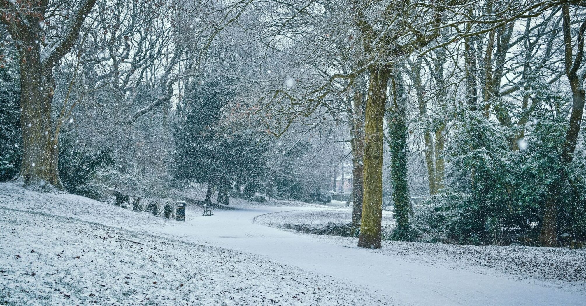 Snow-covered park with trees and pathway during snowfall