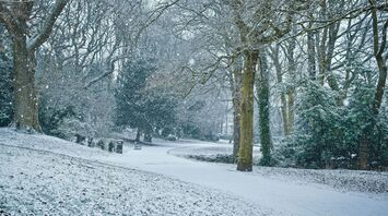 Snow-covered park with trees and pathway during snowfall