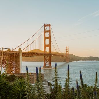 Top Things to Do in San Francisco Today | Explore the City