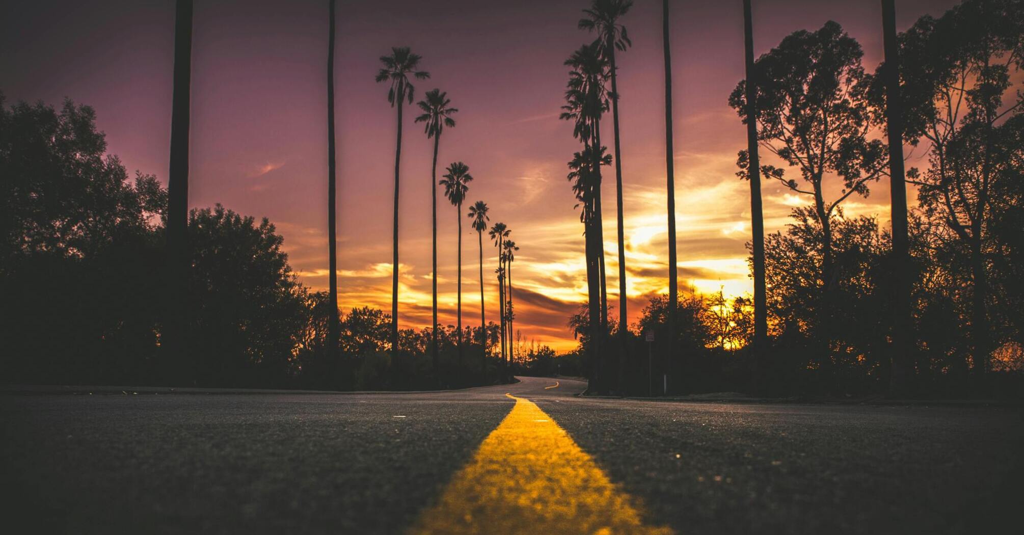 Road with palm trees at sunset in Southern California