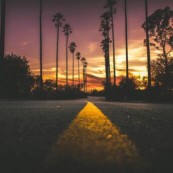 Road with palm trees at sunset in Southern California