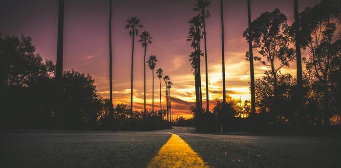 Road with palm trees at sunset in Southern California