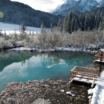 Zelenci Nature Reserve, Podkoren, Kranjska Gora, Slovenia