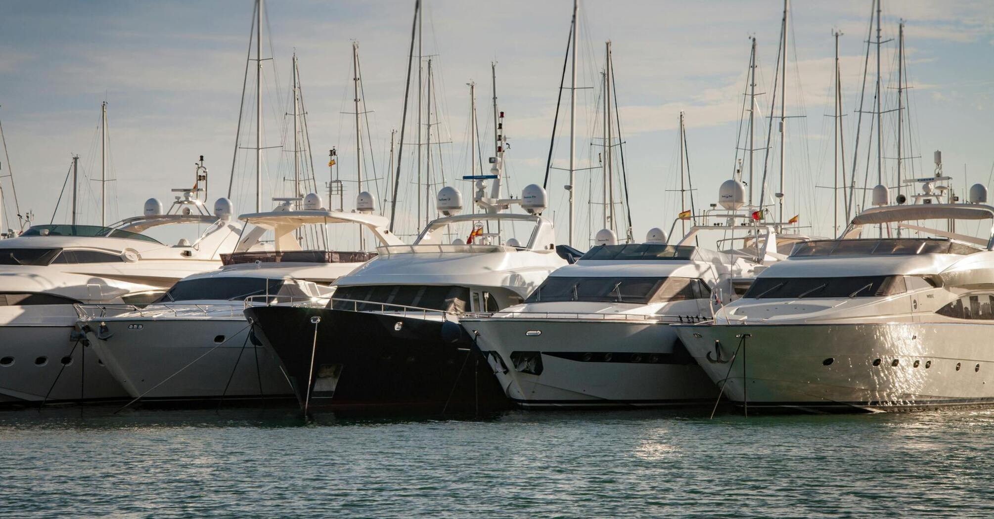 Luxury yachts docked in a marina