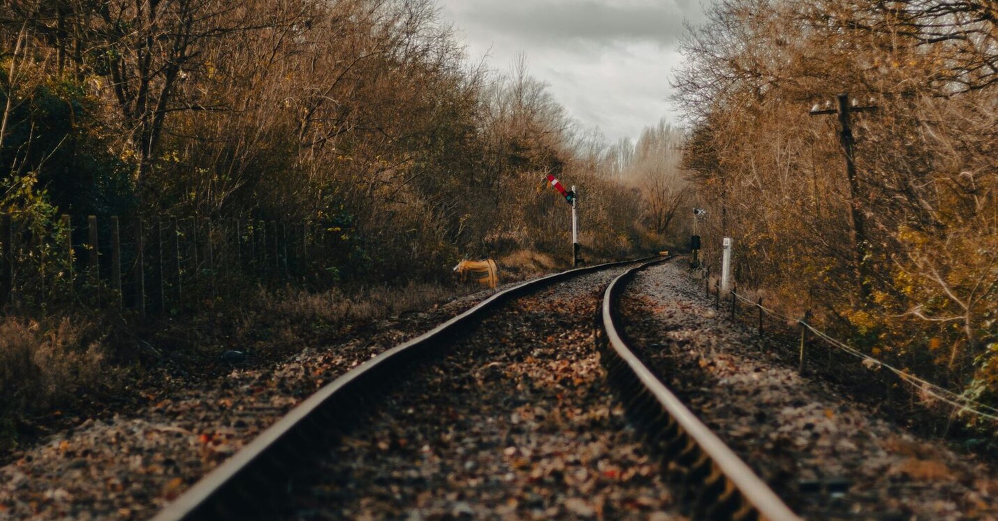 A rural railway track surrounded by bare trees under an overcast sky, illustrating disrupted rail travel in autumn