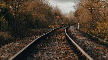 A rural railway track surrounded by bare trees under an overcast sky, illustrating disrupted rail travel in autumn