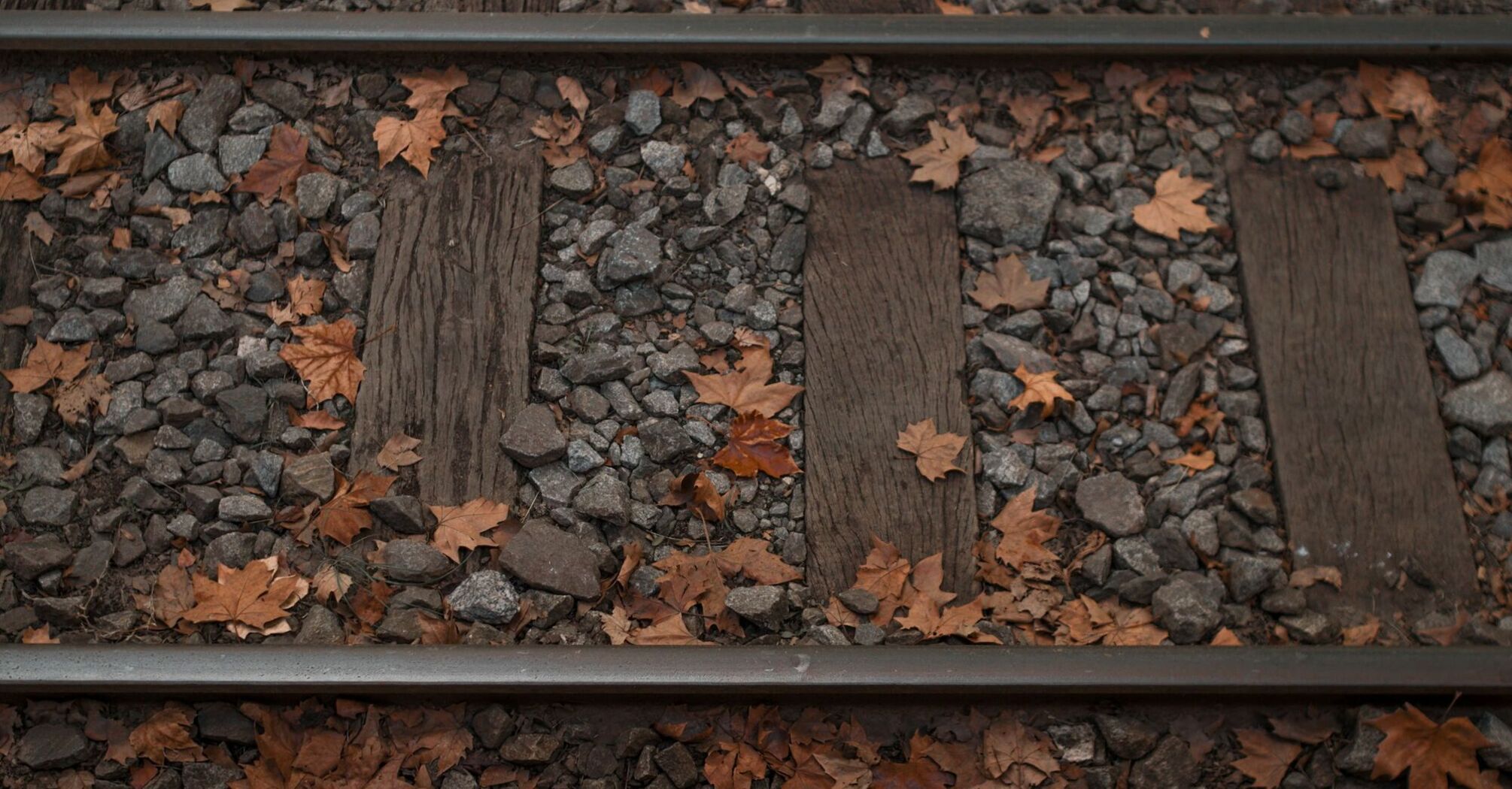 Railway tracks surrounded by fallen autumn leaves and loose ballast stones