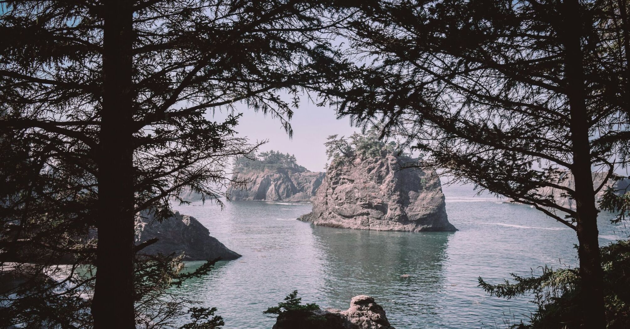 The beautiful Oregon coast.