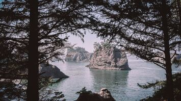 The beautiful Oregon coast.