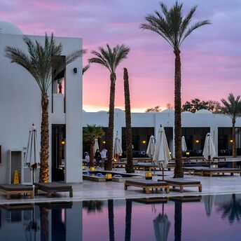 A luxurious resort pool surrounded by palm trees at sunset