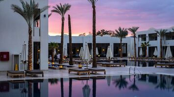 A luxurious resort pool surrounded by palm trees at sunset