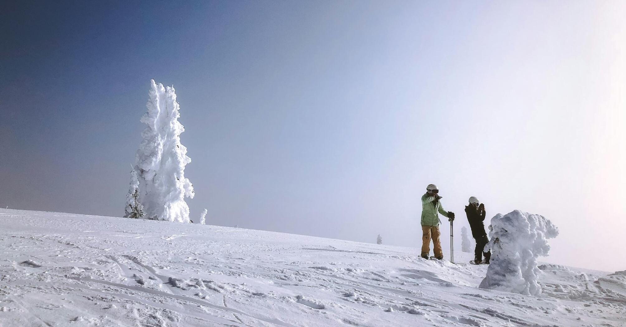 Skiers enjoying a snowy mountain landscape under a clear sky