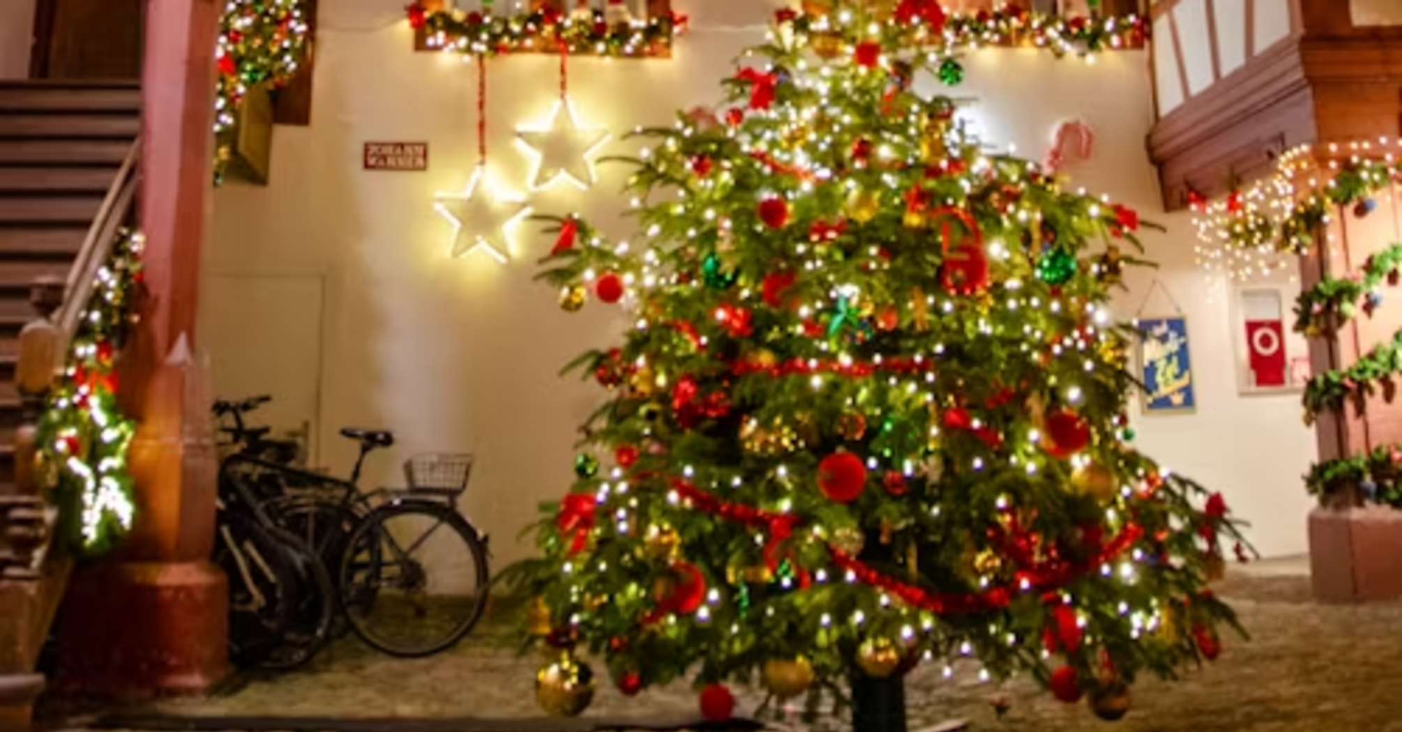 Christmas tree and festive lights decorating a courtyard