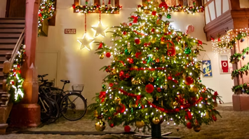 Christmas tree and festive lights decorating a courtyard