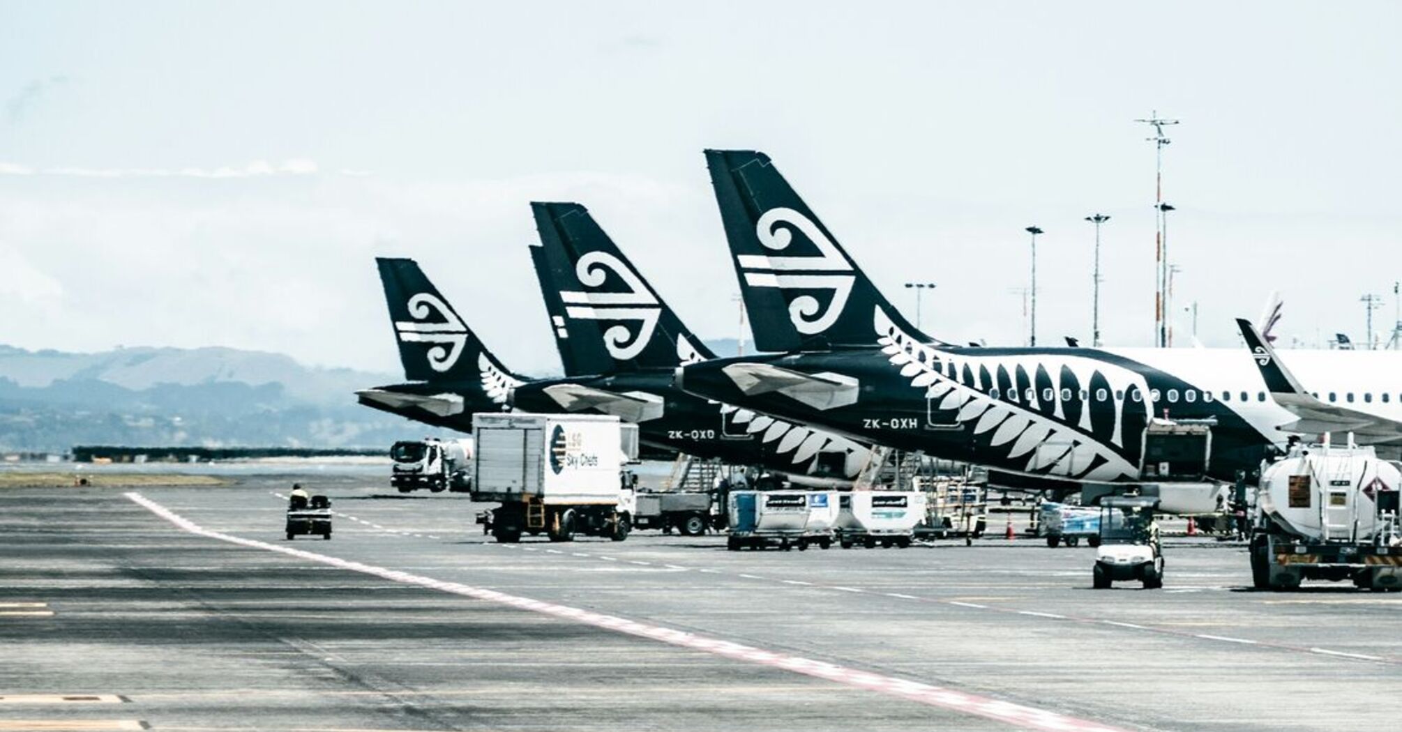 Air New Zealand planes parked at an airport gate