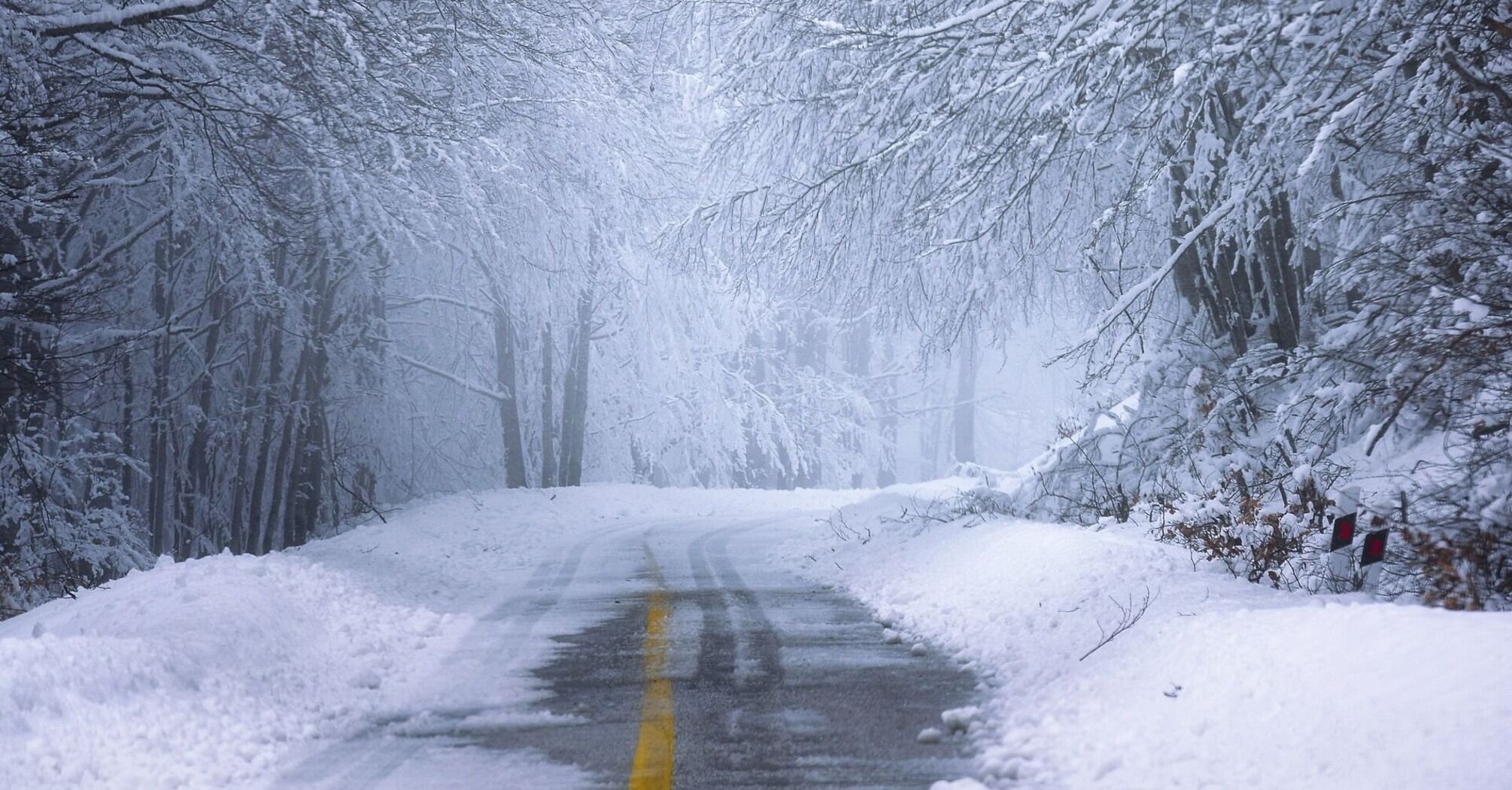 Snow-covered road in a winter forest