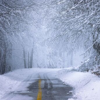 Snow-covered road in a winter forest