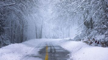 Snow-covered road in a winter forest