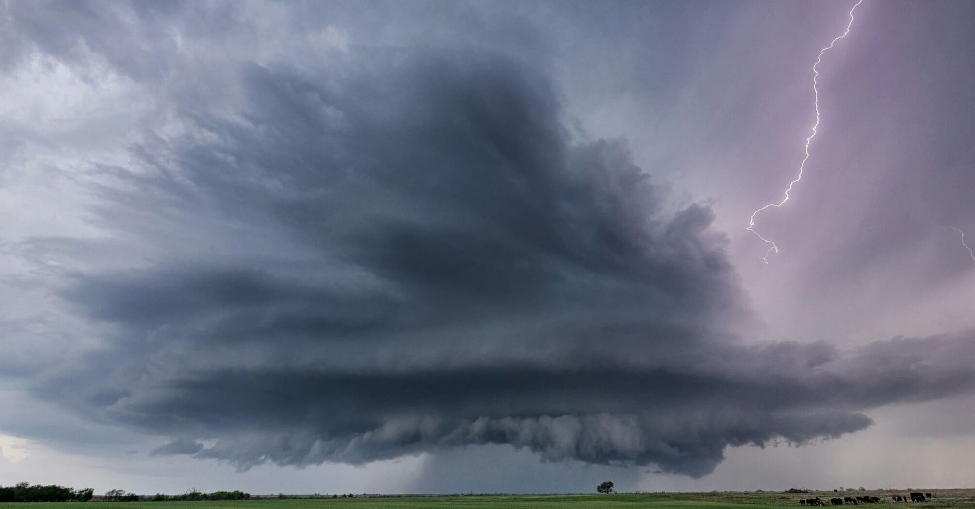 A dramatic thunderstorm with dark clouds and lightning striking over a field, showcasing severe weather conditions