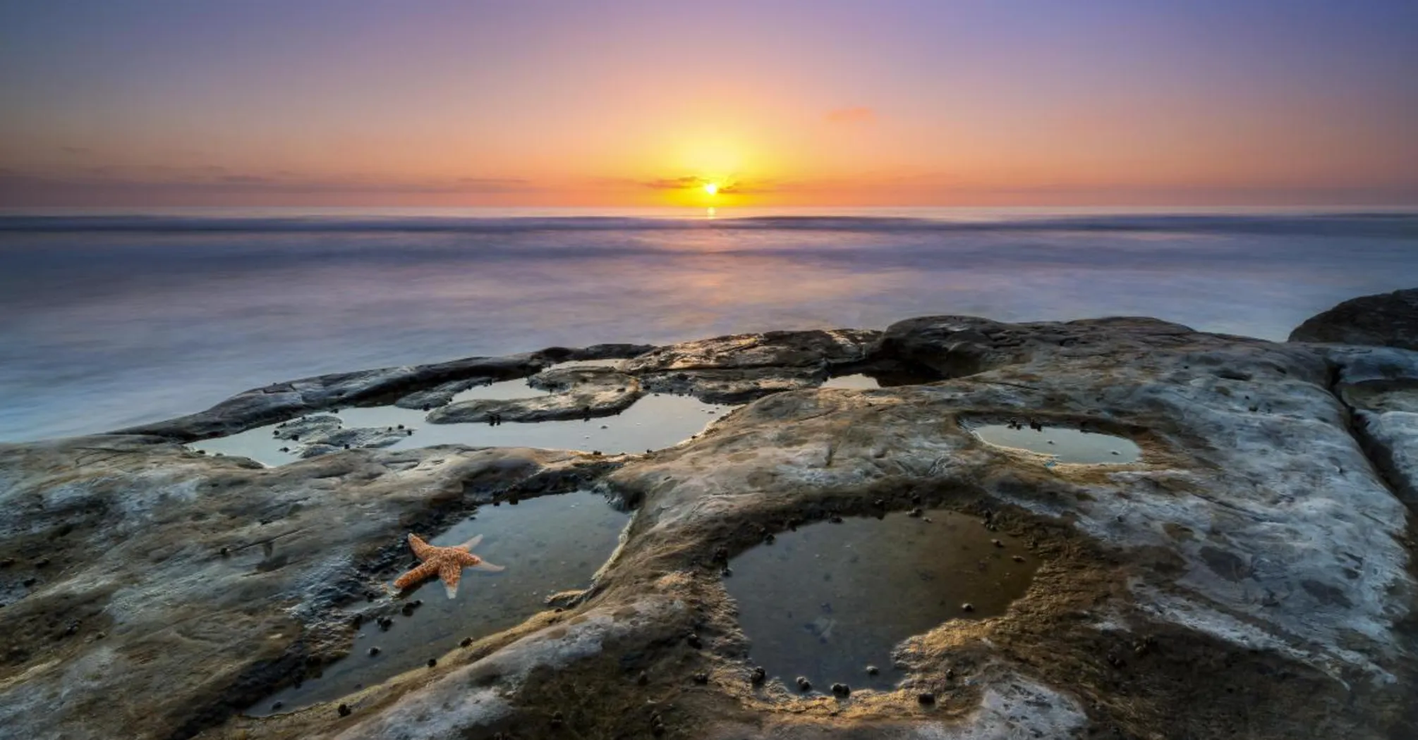 Explore the Best Tide Pools in San Diego