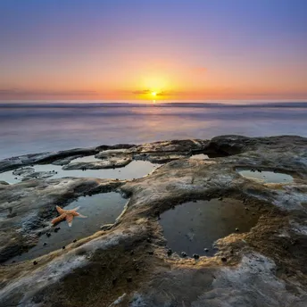 Explore the Best Tide Pools in San Diego