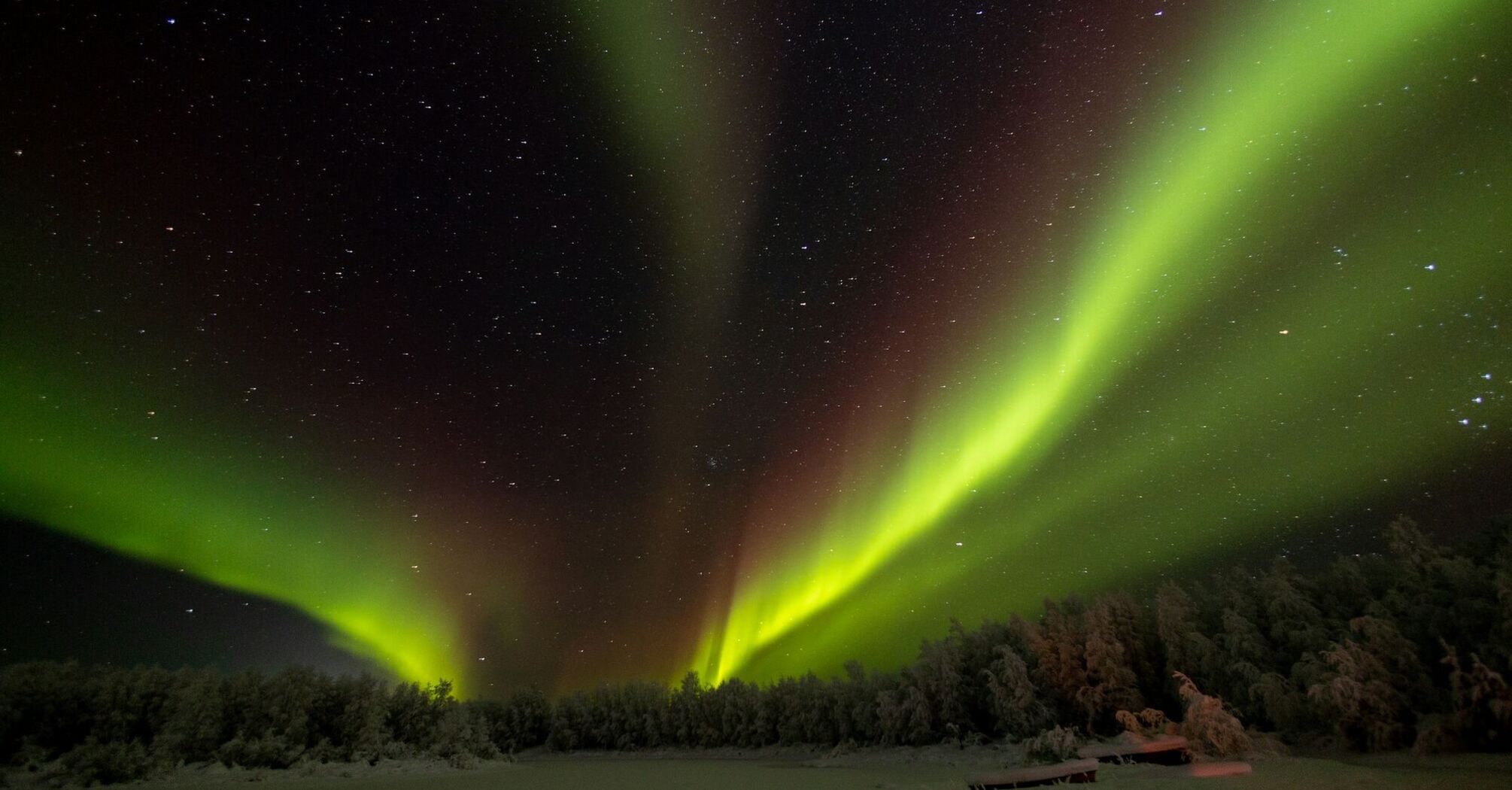 Northern lights illuminating a snowy forest under a starry sky