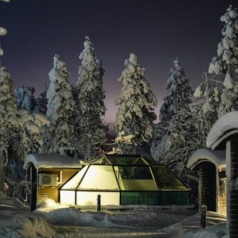 A glass igloo illuminated at night amidst snow-covered trees in Lapland
