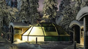 A glass igloo illuminated at night amidst snow-covered trees in Lapland
