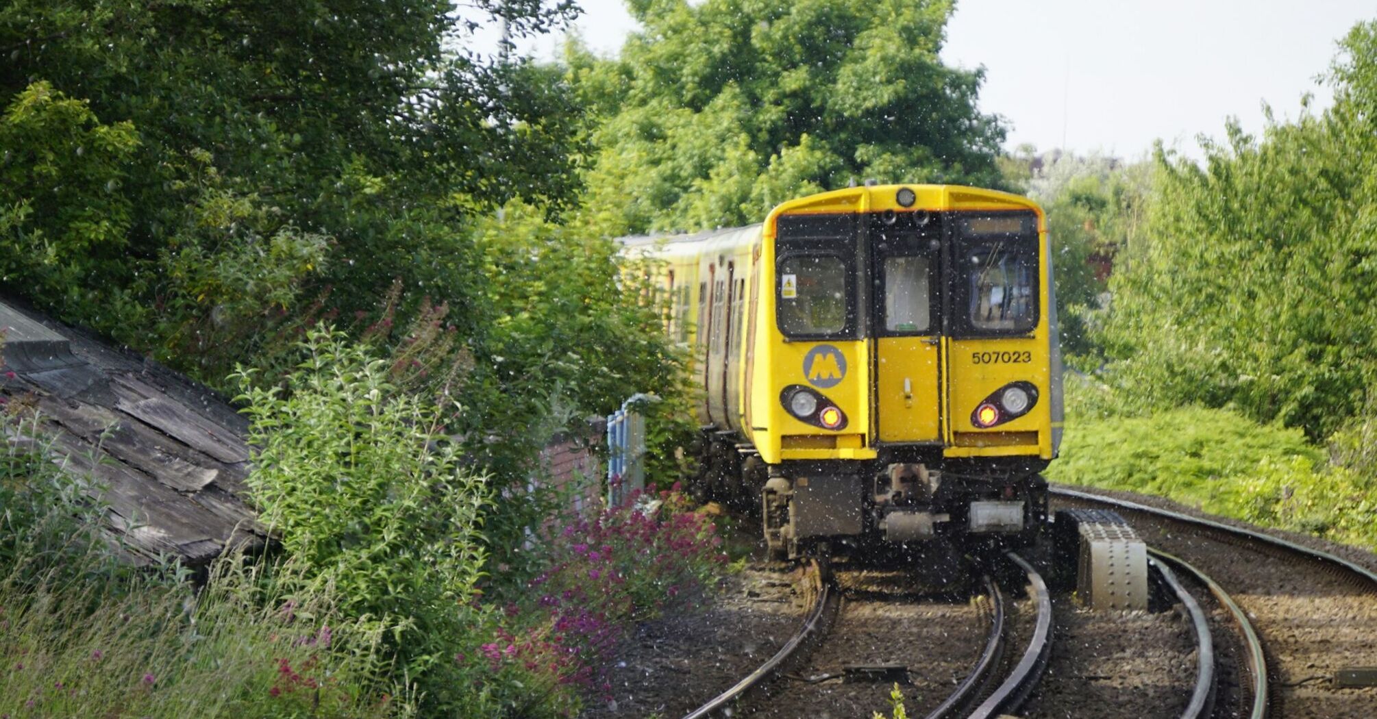 A yellow Merseyrail train traveling through a green countryside setting